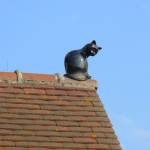 Chat de faîtage en céramique sur toiture tuilée