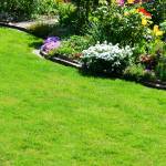 jardin en pente aménagement
