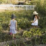 Aménager un jardin en pente avec un potager en terrasses - Valence 26