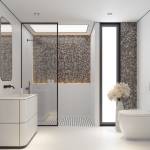 Salle de douche avec WC