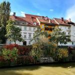 Rénovation maison ancienne paris.