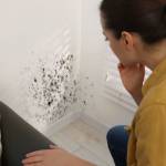 humidité mur habitat - La Maison Des Travaux