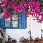 Aménagement paysager : créer le jardin de vos rêves à Forges les bains