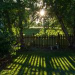 Tout savoir sur la rénovation de clôture mitoyenne