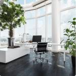 Comment apporter de la lumière naturelle à un bureau sans fenêtre ? - Saint-Aubin-des-Préaux 50380