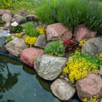 Aménager un bassin dans un jardin à Vertou