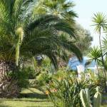 création oasis jardin