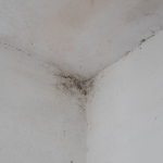 Moisissures chambre traitement Beaune
