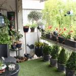 Balcon terrasse fleurs plantes