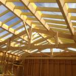 Ma charpente est-elle saine ? 