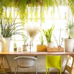 jardin hiver la maison des travaux orléans nord 