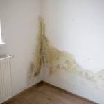 Solutions isolation : comment protéger sa maison de l'humidité ? 