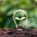 Les différents types d’isolation par l’extérieur - Grandcamp-Maisy 14450