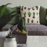 Avoir un petit salon - Canchy 14230