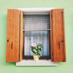 beaux volets en bois