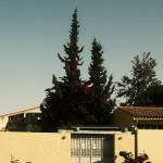 Comment construire un mur de clôture en Moselle?