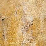 Mur à assecher La Maison des Travaux Rouen