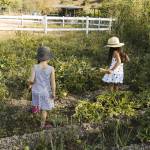 Aménager un jardin en pente avec un potager en terrasses - Valence 26
