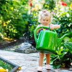 sécurisation du jardin enfants