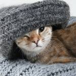 Une maison bien isolée, quel confort dans le Nord de la France !