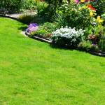 jardin en pente aménagement