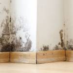 Rénovation intérieure 