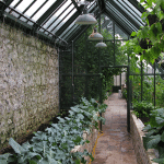 Jardin d'hiver