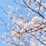 travaux chantier la rochelle