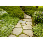 Matériaux allée de jardin Chenôve