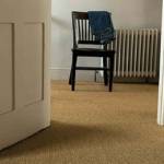 jonc de mer (Yerres)