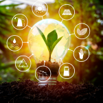 Rénovation énergétique