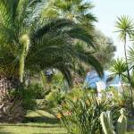 création oasis jardin