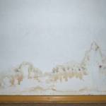 Rénovation d'un mur humide à Bayonne