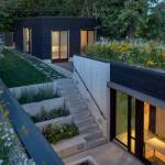 Toiture terrasse végétalisée