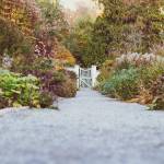Allée de jardin 