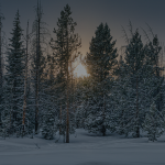 Rénovation énergétique