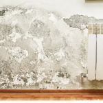 Remontées capillaires