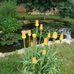 oasis jardin landerneau