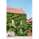 Façade végétalisée Haguenau