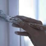 peinture écologique - LYON CENTRE (69) 