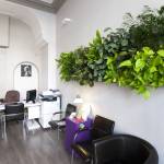 Mur végétal en intérieur