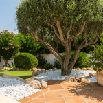 amenagement exterieur hyeres