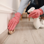 Travaux maison chantier