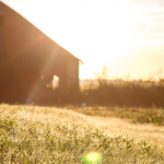 Rénovation grange Cournon d'Auvergne