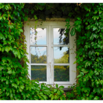 Mur végétal extérieur Amiens