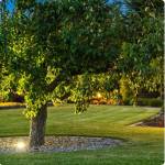 Comment créer des zones d’ombre efficaces dans un jardin ? Campagnolles 14500
