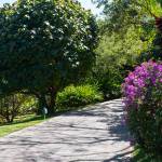 Aménagement d'un jardin en pente avec allée de jardin en pierre - Nantes 44