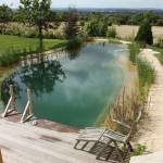 Piscine naturelle