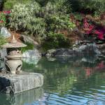 composer et aménager un jardin zen