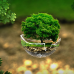 Isolation écologique sur Cherbourg 